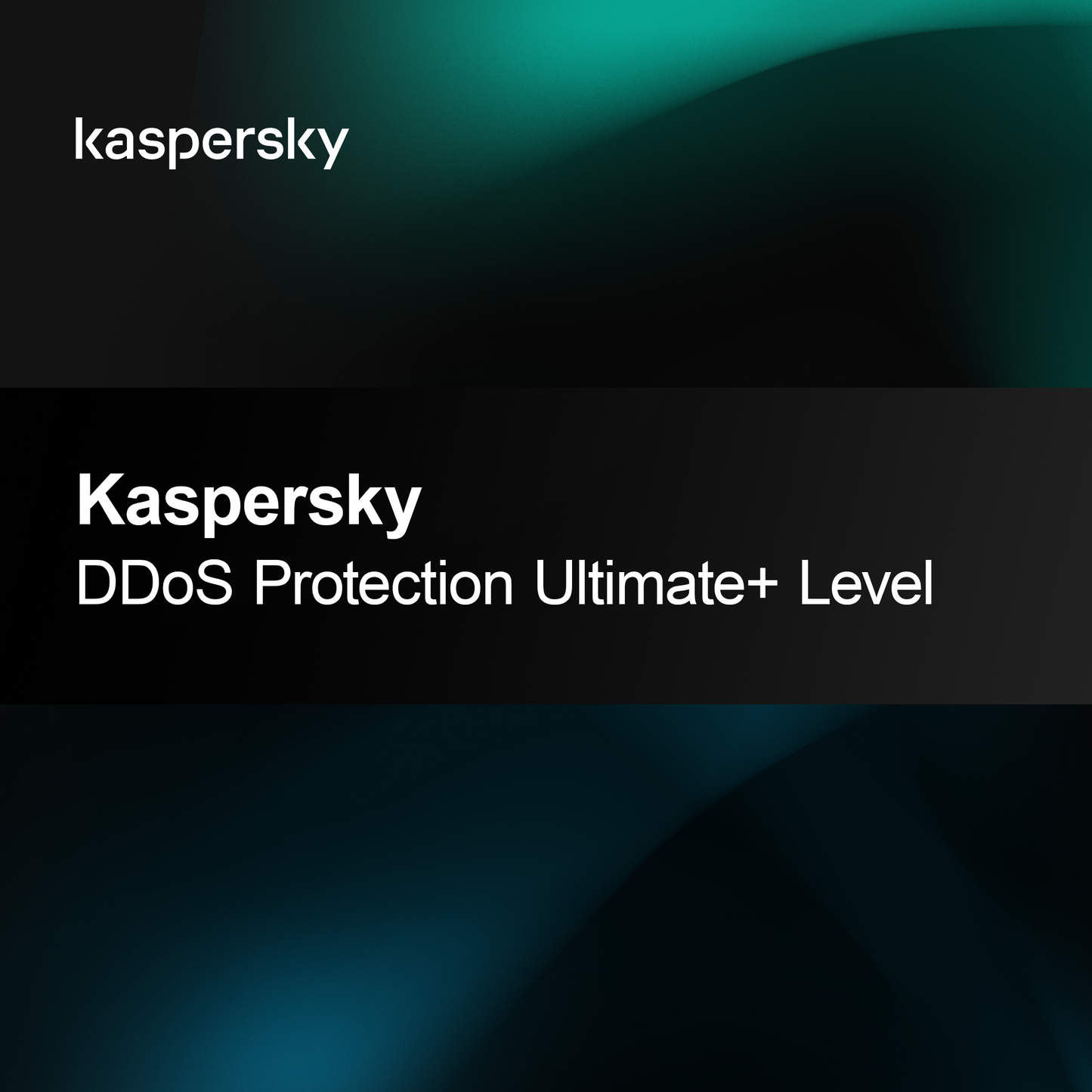 Kaspersky Ochrona DDoS, Poziom Ultimate+