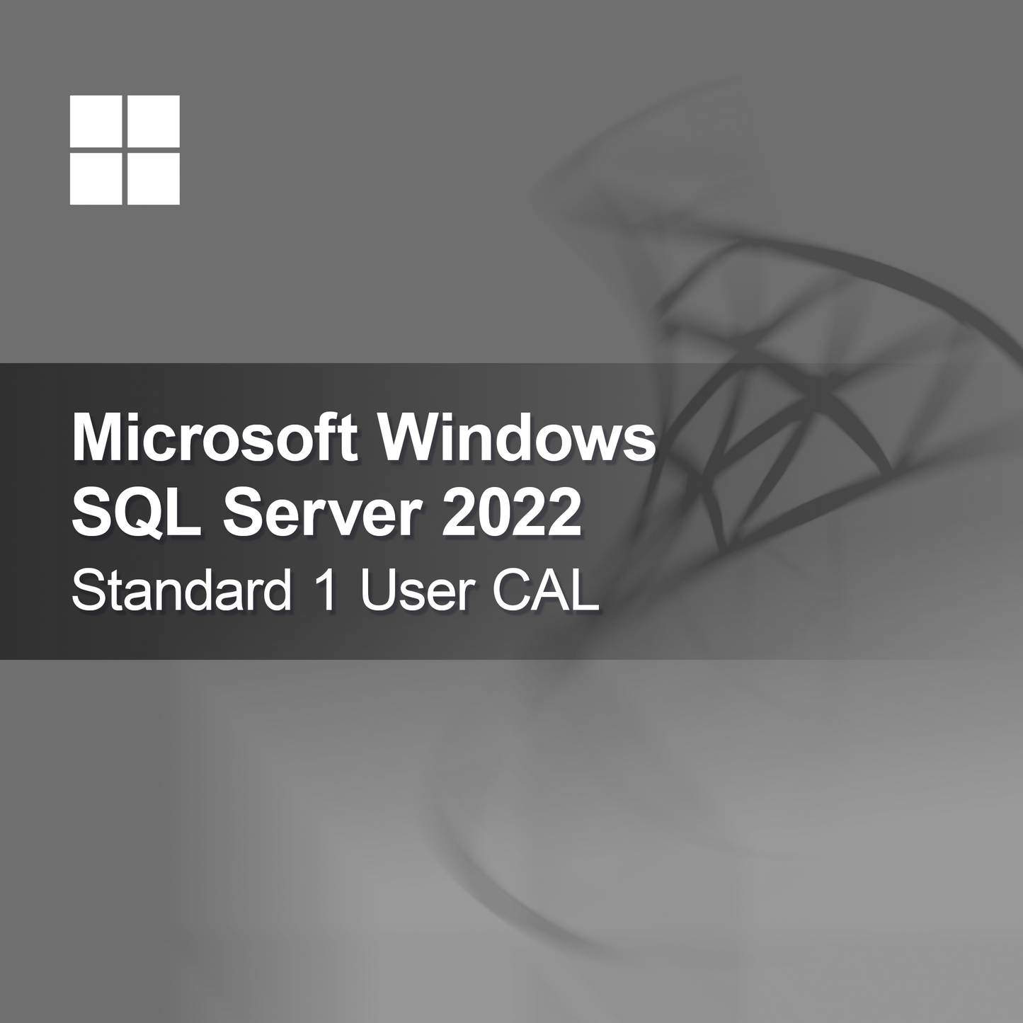 Microsoft SQL Server 2022 Standard 1 użytkownik CAL