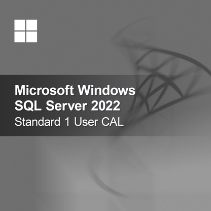Microsoft SQL Server 2022 Standard 1 użytkownik CAL